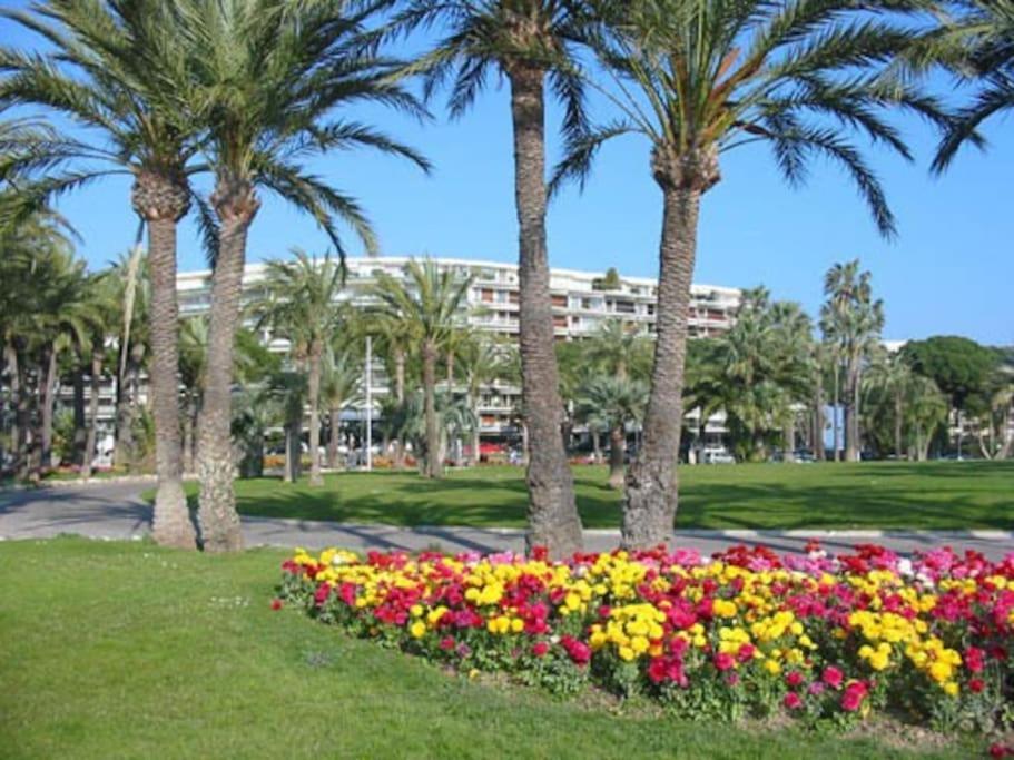 Cannes Palm Beach Parking, Clim, Wifi Plage 2' A Pieds 外观 照片